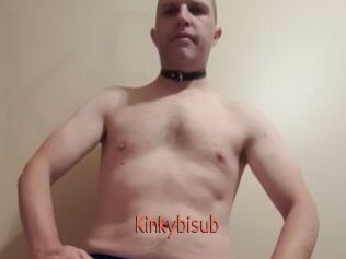 Kinkybisub