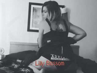 Lilly_Blossom