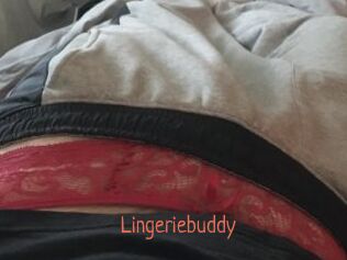 Lingeriebuddy
