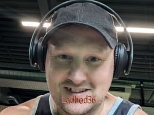 ladbod36 Kachou Fuzoku