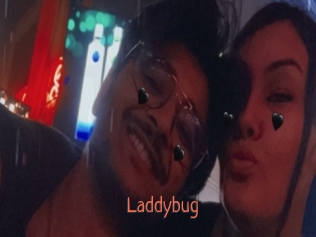 Laddybug