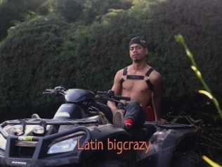 Latin_bigcrazy