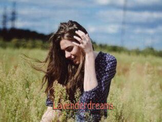 Lavenderdreams