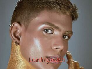 Leandrogonzlezh