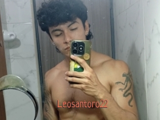 Leosantoro22