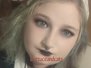 Lettuceandcats