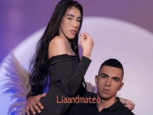liaandmateo Kachou Fuzoku