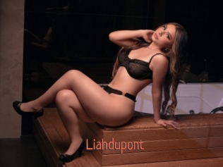 Liahdupont