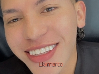 liammarco Kachou Fuzoku