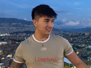 liampierce Kachou Fuzoku