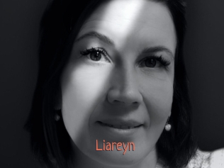 liareyn Kachou Fuzoku