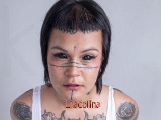 Lilacollina