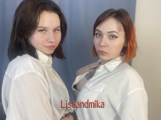 Lisaandmika