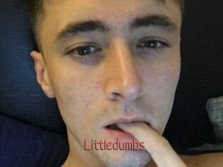 Littledumbs