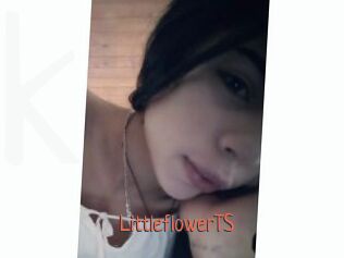 LittleflowerTS