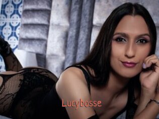 Lucybosse