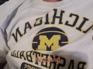 Meglodong1