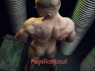 Magnificentstud