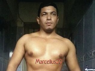 Marcellus20