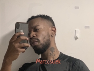 marcosulek Kachou Fuzoku