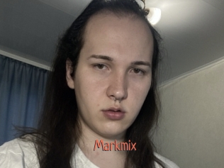 markmix Kachou Fuzoku
