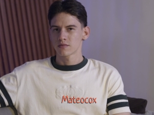 mateocox Kachou Fuzoku