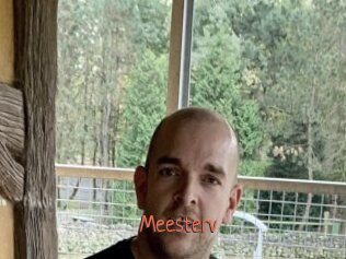 Meesterv