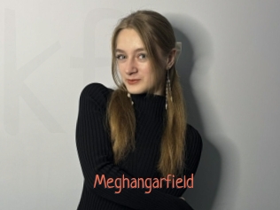 Meghangarfield