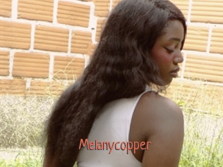 melanycopper Kachou Fuzoku