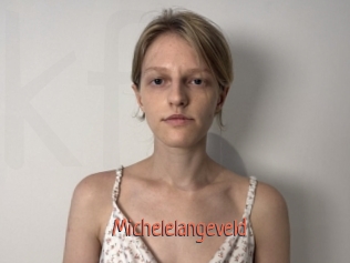 Michelelangeveld