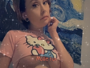 Mollie_fox