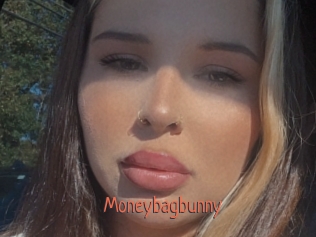 Moneybagbunny