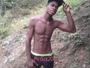 Mrdick20cm