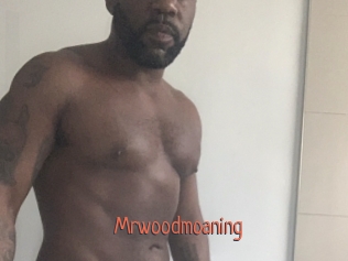 Mrwoodmoaning