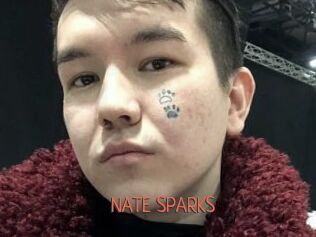 NATE_SPARKS