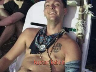 Nectar_Rabbit