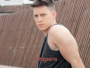 Neilgaviria