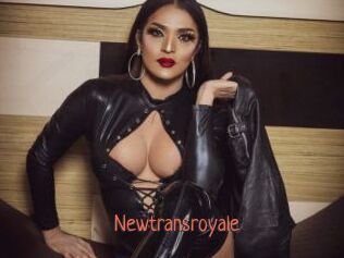 Newtransroyale