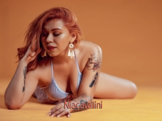 Niacavallini