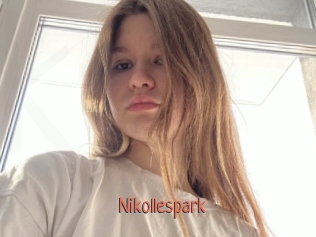 Nikollespark