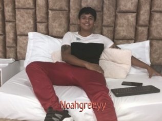 Noahgreeyy