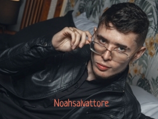 Noahsalvattore