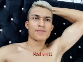 Noahsmitt