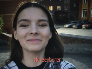 Noreenborer