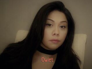 _Owlet_