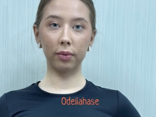 odeliahase Kachou Fuzoku