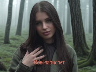 Odelinabucher