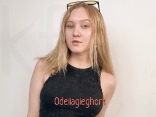 odellagleghorn Kachou Fuzoku