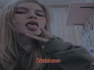 Odellahamm