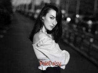 PaleDaisy